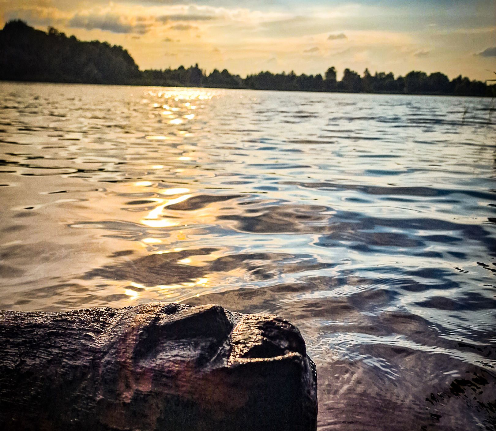  Potrójny sukces Centrum Archeologii Podwodnej UMK w plebiscycie „Archeologiczne Sensacje 2025”!